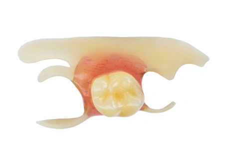 artificial tooth